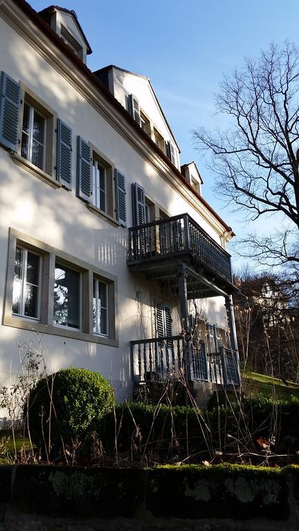 Villa Im Park Wachwitzgrund Dresden Bagian luar foto