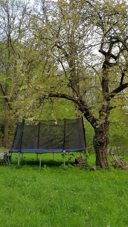 Villa Im Park Wachwitzgrund Dresden Bagian luar foto