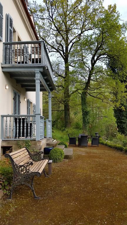 Villa Im Park Wachwitzgrund Dresden Bagian luar foto
