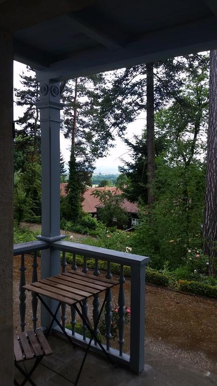 Villa Im Park Wachwitzgrund Dresden Bagian luar foto